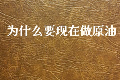 为什么要现在做原油_https://m.lcjysmgs.com_股权投资_第1张
