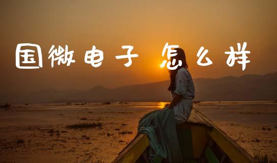 国微电子 怎么样_https://m.lcjysmgs.com_金融服务_第1张