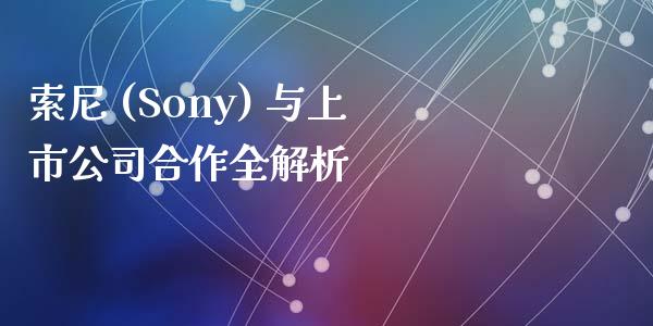 索尼 (Sony) 与上市公司合作全解析_https://m.lcjysmgs.com_股权投资_第1张
