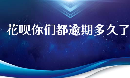 花呗你们都逾期多久了_https://m.lcjysmgs.com_股权投资_第1张