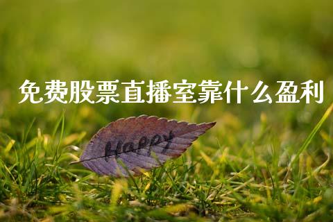 免费股票直播室靠什么盈利_https://m.lcjysmgs.com_金融服务_第1张