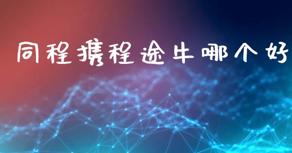同程携程途牛哪个好_https://m.lcjysmgs.com_基金管理_第1张
