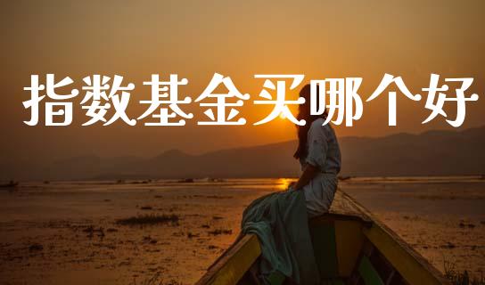 指数基金买哪个好_https://m.lcjysmgs.com_基金管理_第1张