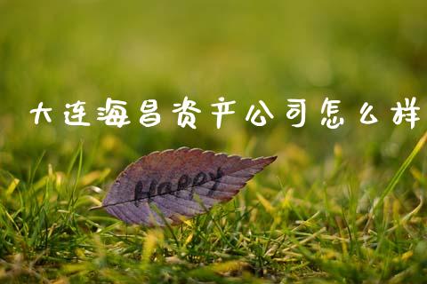 大连海昌资产公司怎么样_https://m.lcjysmgs.com_金融服务_第1张
