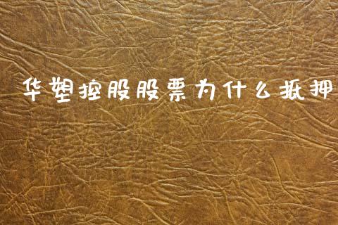 华塑控股股票为什么抵押_https://m.lcjysmgs.com_股票交易_第1张