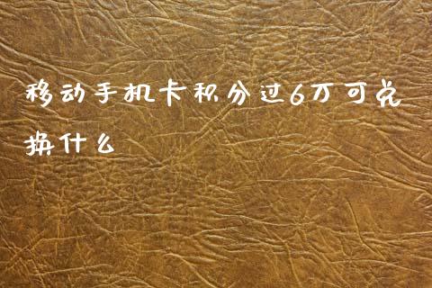 移动手机卡积分过6万可兑换什么_https://m.lcjysmgs.com_股票交易_第1张