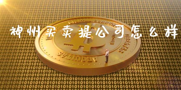 神州买卖提公司怎么样_https://m.lcjysmgs.com_基金管理_第1张