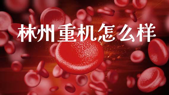 林州重机怎么样_https://m.lcjysmgs.com_金融服务_第1张