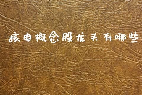 核电概念股龙头有哪些_https://m.lcjysmgs.com_股权投资_第1张