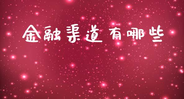 金融渠道有哪些_https://m.lcjysmgs.com_基金管理_第1张