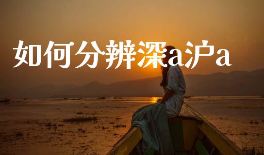 如何分辨深a沪a_https://m.lcjysmgs.com_基金管理_第1张