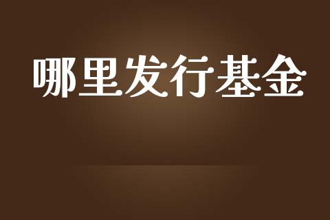 哪里发行基金_https://m.lcjysmgs.com_股票交易_第1张