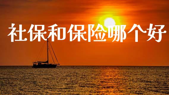 社保和保险哪个好_https://m.lcjysmgs.com_股票交易_第1张
