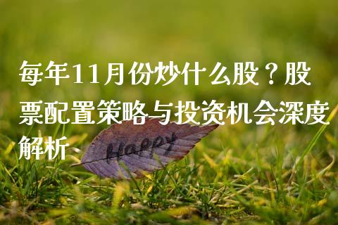 每年11月份炒什么股？股票配置策略与投资机会深度解析_https://m.lcjysmgs.com_基金管理_第1张