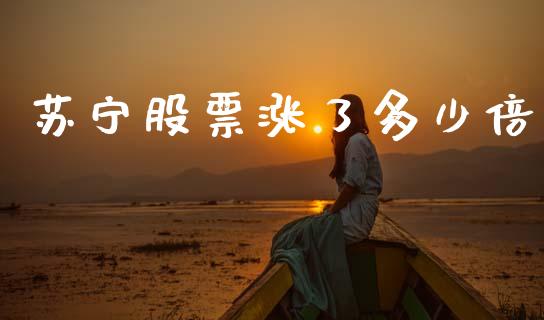苏宁股票涨了多少倍_https://m.lcjysmgs.com_金融服务_第1张