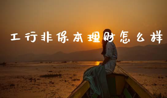 工行非保本理财怎么样_https://m.lcjysmgs.com_金融服务_第1张
