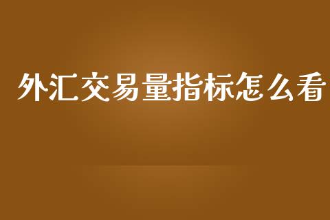 外汇交易量指标怎么看_https://m.lcjysmgs.com_金融服务_第1张