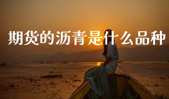 期货的沥青是什么品种_https://m.lcjysmgs.com_基金管理_第1张