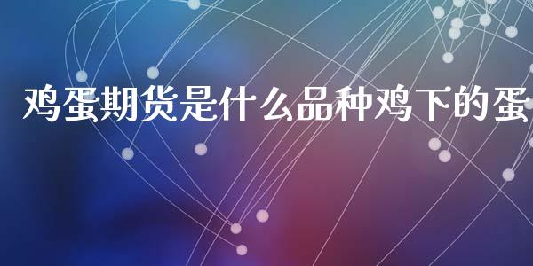 鸡蛋期货是什么品种鸡下的蛋_https://m.lcjysmgs.com_基金管理_第1张