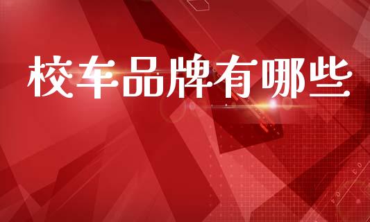 校车品牌有哪些_https://m.lcjysmgs.com_基金管理_第1张