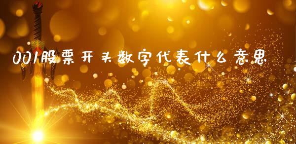001股票开头数字代表什么意思_https://m.lcjysmgs.com_股权投资_第1张