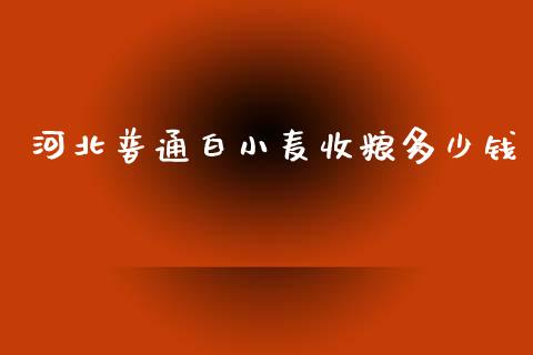 河北普通白小麦收粮多少钱_https://m.lcjysmgs.com_股权投资_第1张