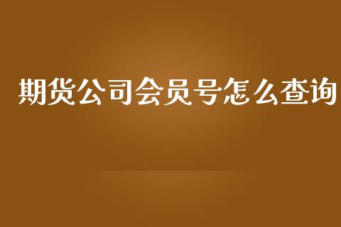 期货公司会员号怎么查询_https://m.lcjysmgs.com_基金管理_第1张