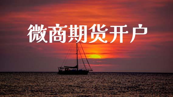 微商期货开户_https://m.lcjysmgs.com_金融服务_第1张
