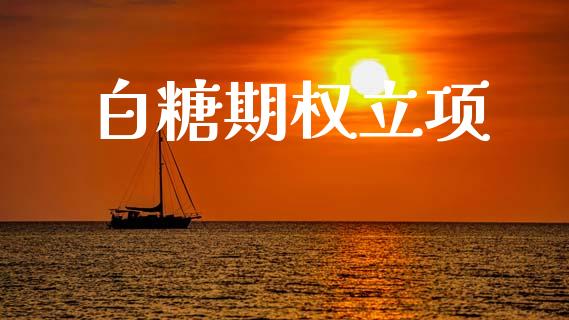 白糖期权立项_https://m.lcjysmgs.com_金融服务_第1张
