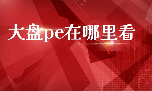 大盘pe在哪里看_https://m.lcjysmgs.com_金融服务_第1张