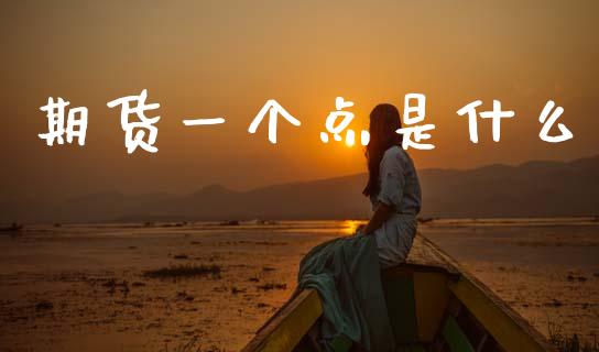 期货一个点是什么_https://m.lcjysmgs.com_金融服务_第1张