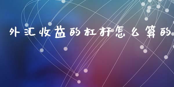 外汇收益的杠杆怎么算的_https://m.lcjysmgs.com_基金管理_第1张
