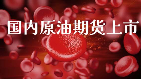 国内原油期货上市_https://m.lcjysmgs.com_金融服务_第1张