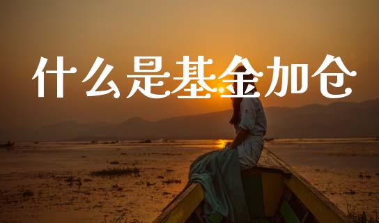 什么是基金加仓_https://m.lcjysmgs.com_金融服务_第1张