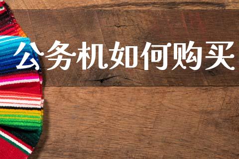 公务机如何购买_https://m.lcjysmgs.com_基金管理_第1张