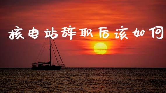 核电站辞职后该如何_https://m.lcjysmgs.com_基金管理_第1张