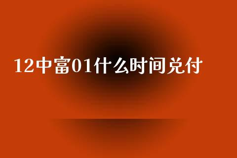 12中富01什么时间兑付_https://m.lcjysmgs.com_股权投资_第1张
