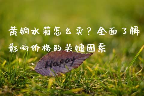黄铜水箱怎么卖？全面了解影响价格的关键因素_https://m.lcjysmgs.com_基金管理_第1张