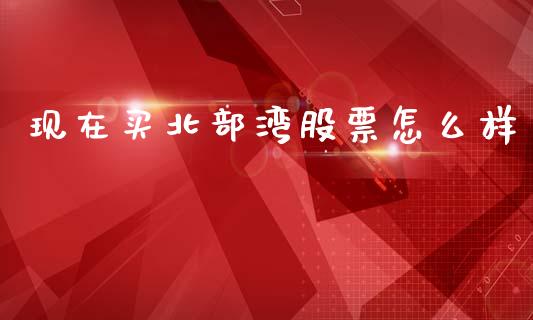 现在买北部湾股票怎么样_https://m.lcjysmgs.com_基金管理_第1张