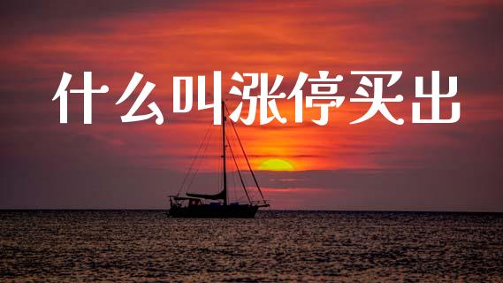 什么叫涨停买出_https://m.lcjysmgs.com_金融服务_第1张