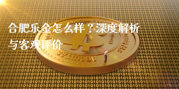 合肥乐金怎么样？深度解析与客观评价_https://m.lcjysmgs.com_金融服务_第1张