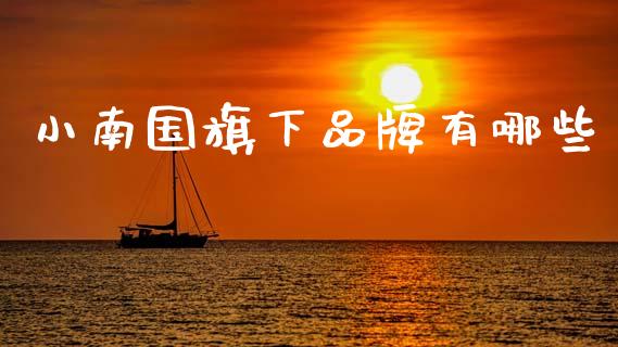 小南国旗下品牌有哪些_https://m.lcjysmgs.com_股权投资_第1张