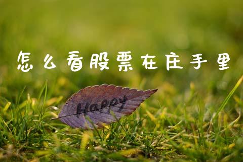 怎么看股票在庄手里_https://m.lcjysmgs.com_股权投资_第1张
