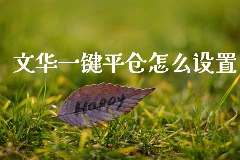 文华一键平仓怎么设置_https://m.lcjysmgs.com_股权投资_第1张