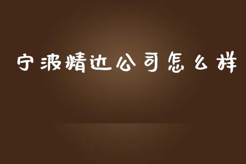 宁波精达公司怎么样_https://m.lcjysmgs.com_金融服务_第1张