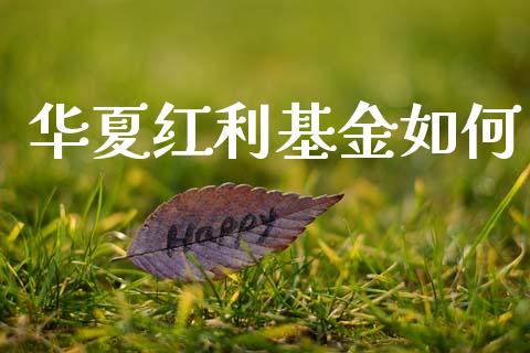 华夏红利基金如何_https://m.lcjysmgs.com_股票交易_第1张