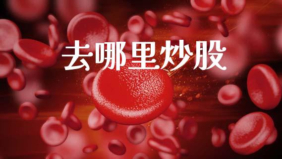 去哪里炒股_https://m.lcjysmgs.com_基金管理_第1张