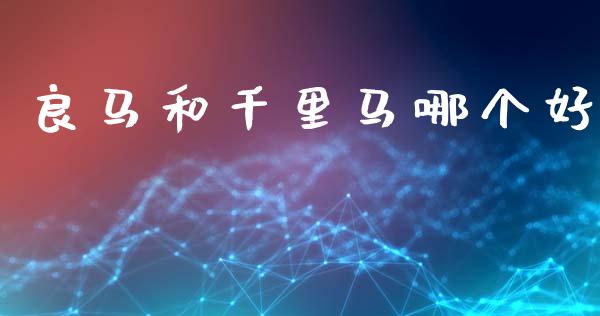良马和千里马哪个好_https://m.lcjysmgs.com_股票交易_第1张