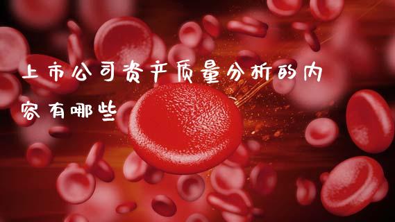 上市公司资产质量分析的内容有哪些_https://m.lcjysmgs.com_股权投资_第1张