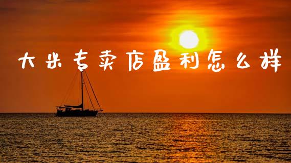 大米专卖店盈利怎么样_https://m.lcjysmgs.com_基金管理_第1张